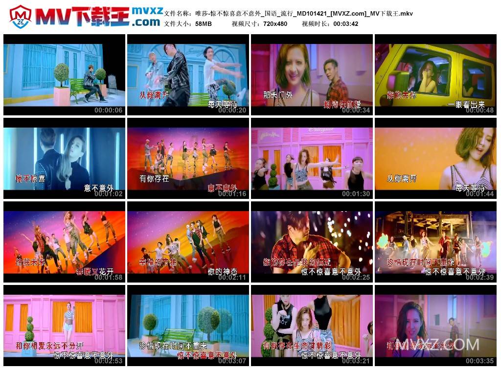 唯莎-惊不惊喜意不意外_国语_流行_MD101421